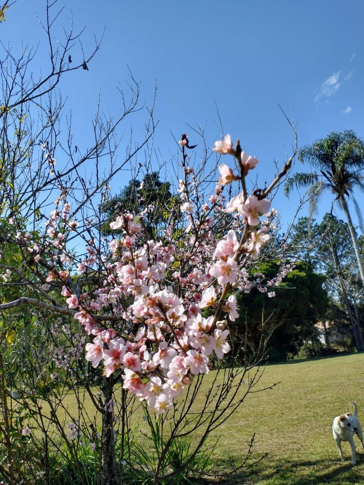 Espaco Benviver กวาราชินเกตา ภายนอก รูปภาพ