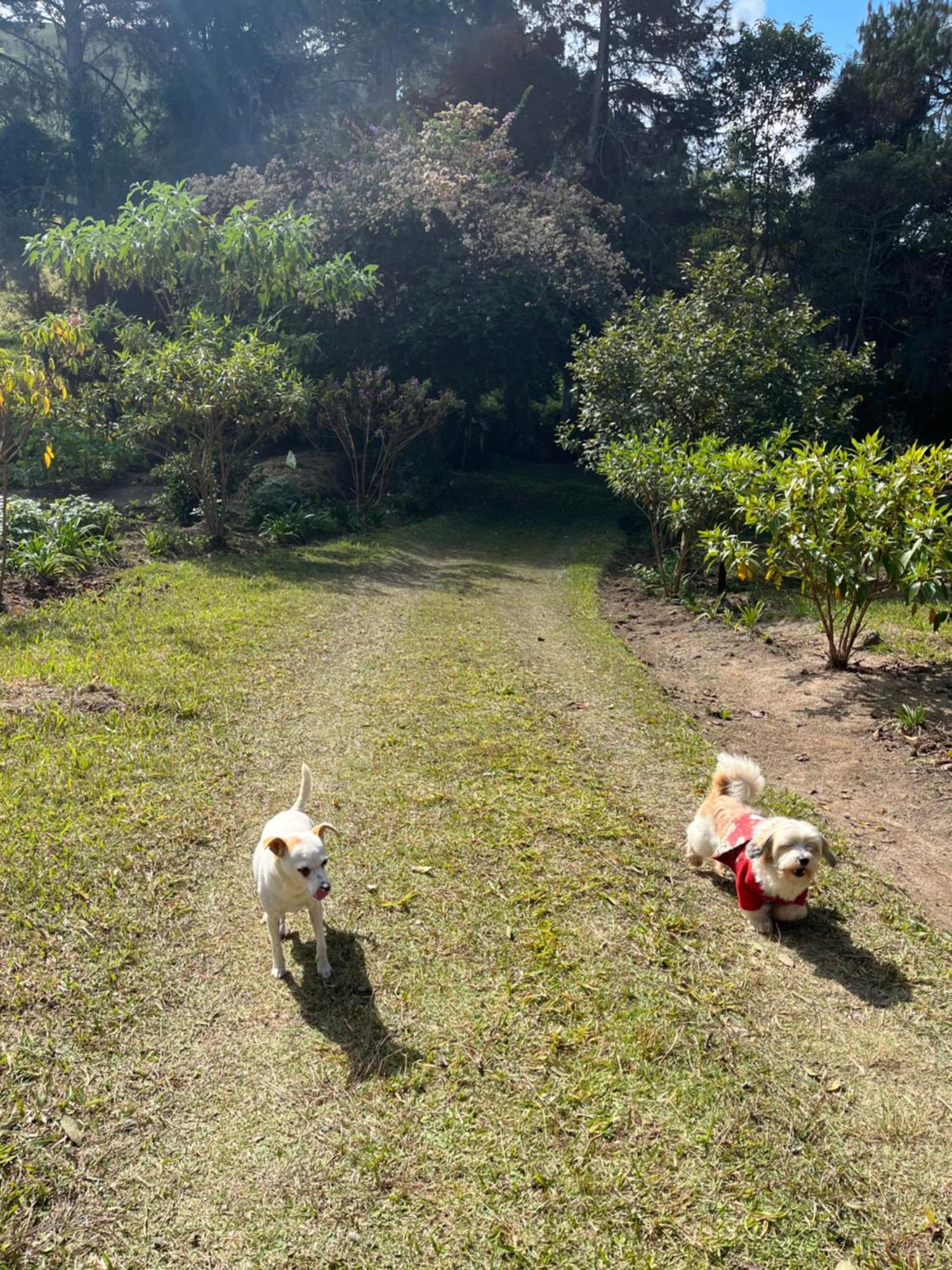 Espaco Benviver กวาราชินเกตา ภายนอก รูปภาพ