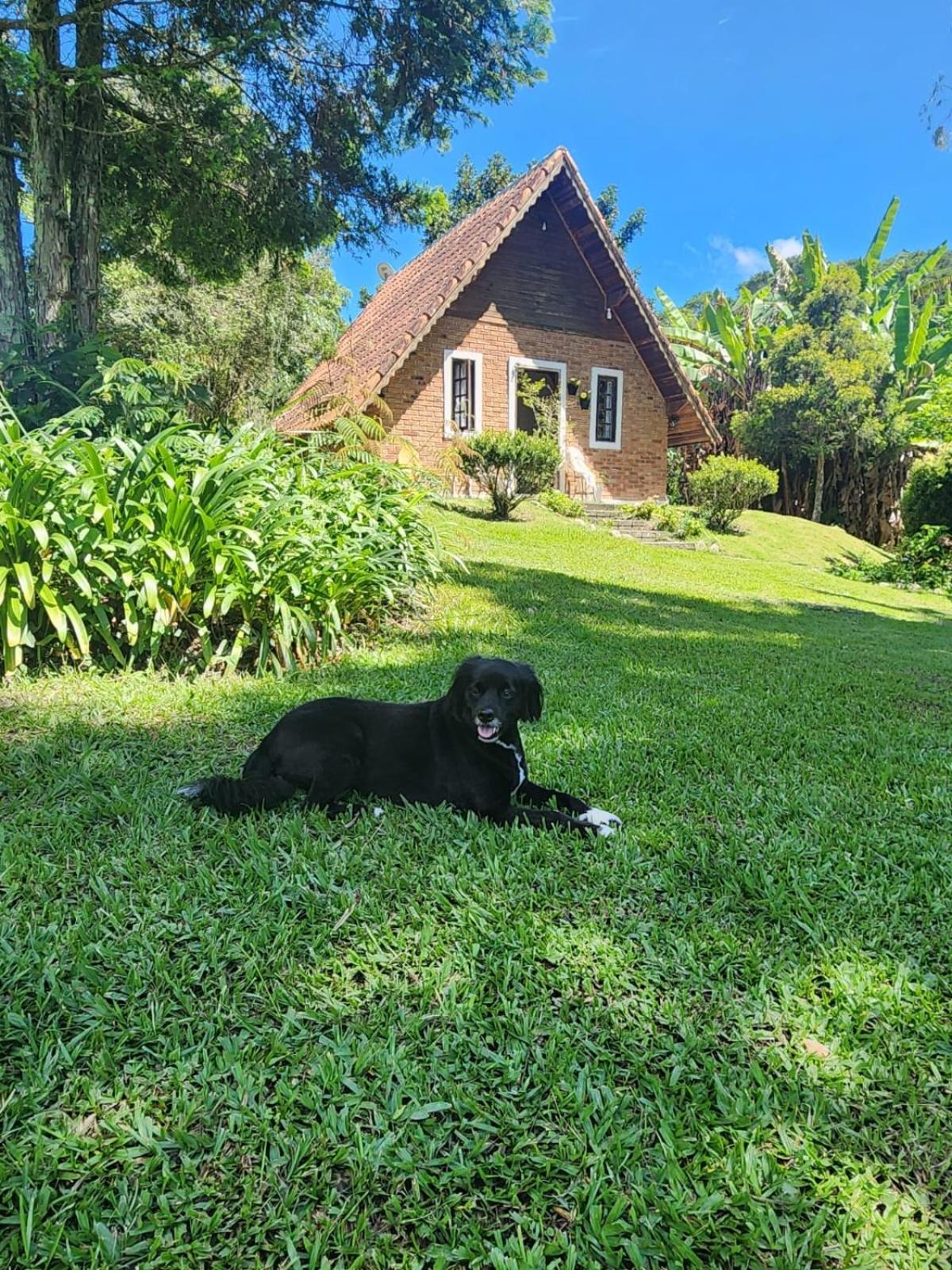 Espaco Benviver กวาราชินเกตา ภายนอก รูปภาพ