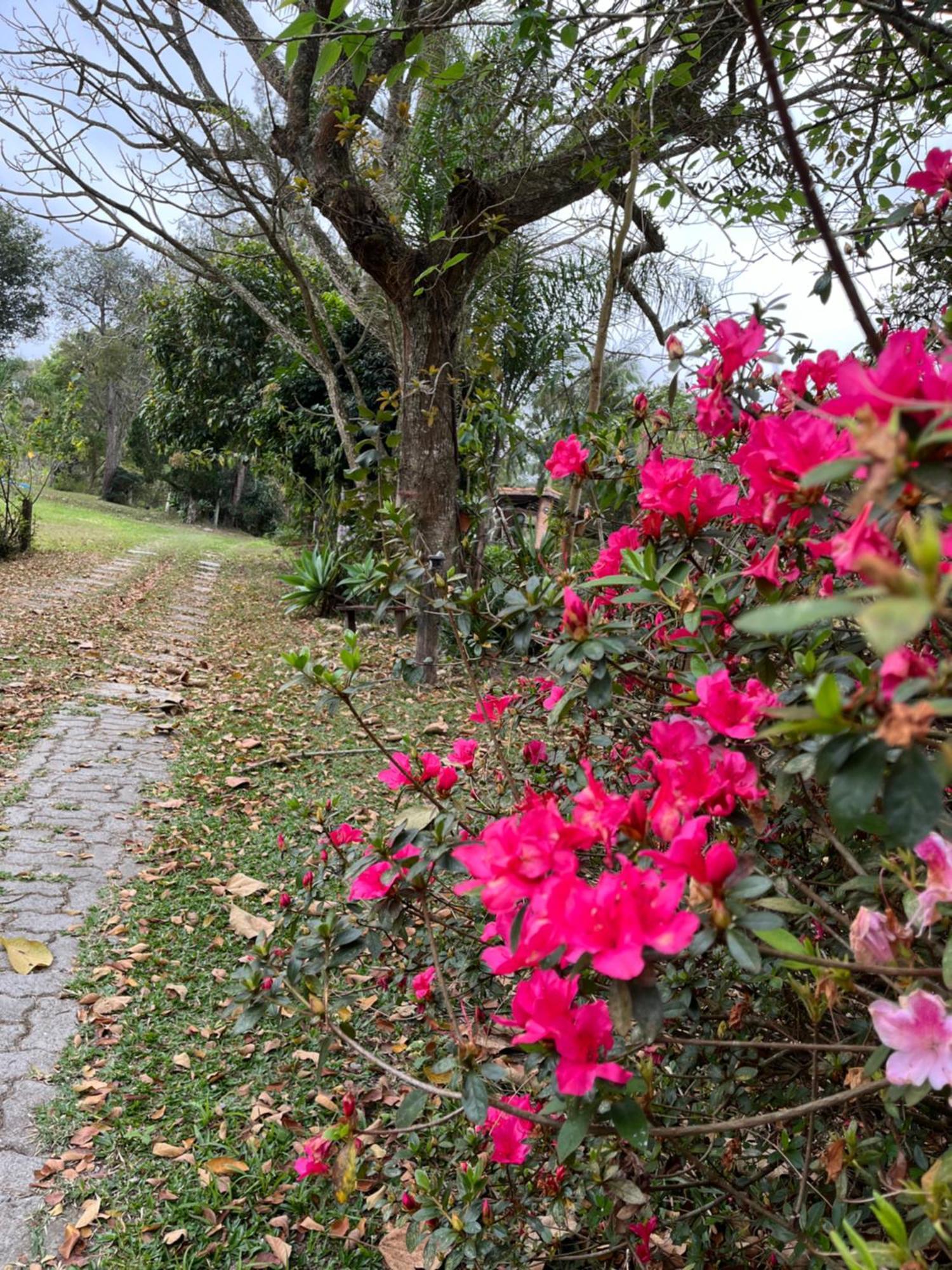 Espaco Benviver กวาราชินเกตา ภายนอก รูปภาพ